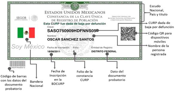Información Completa Mexico - Por Curp 1-15 días habiles