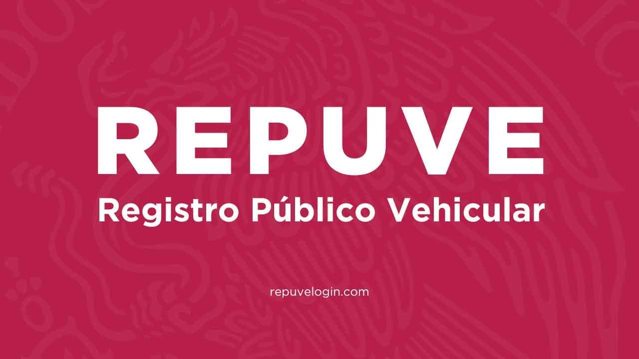 HOJA REPUVE